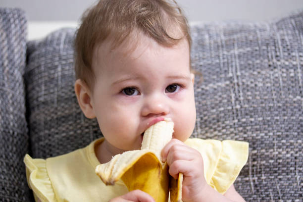 the child eats a banana. portrait of a little baby girl close-up. girl cleans a banana and eats pulp - babies and children close up horizontal looking at camera imagens e fotografias de stock