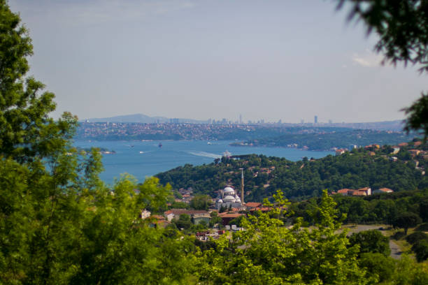 istock view of the istanbul 1161422003