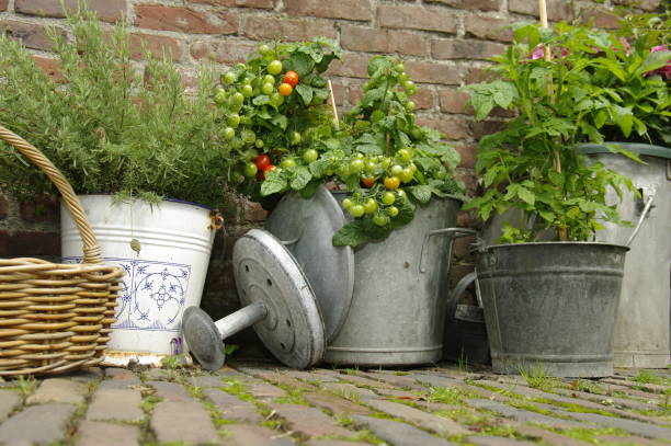 istock Still life in garden 1161424363