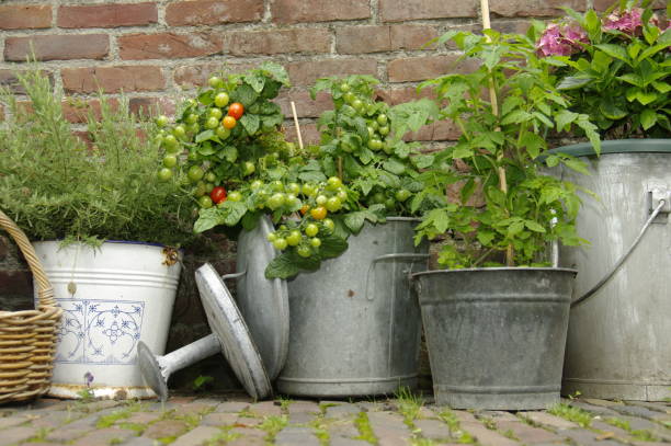 istock Still life in garden 1161424364