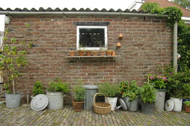 istock Still life in garden 1161424372