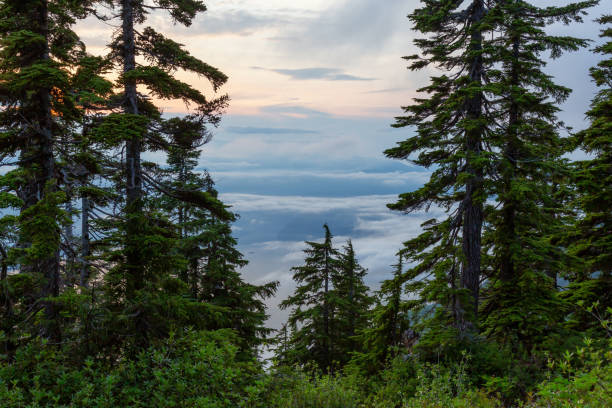 istock Beautiful Canadian Mountain Landscape 1161425682