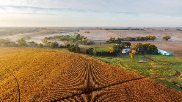 farm at sunrise - nebraska imagens e fotografias de stock