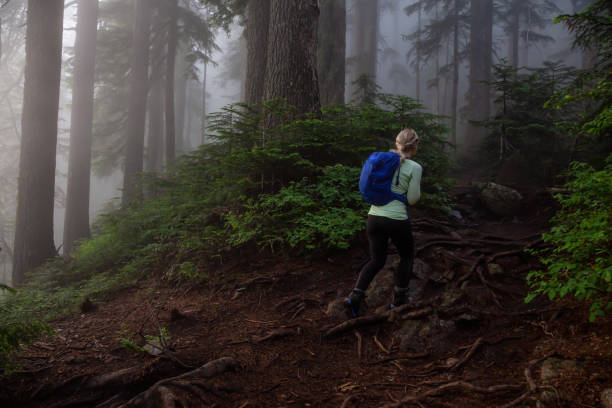 istock Girl hiking in Nature 1161426006