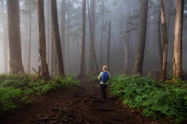 istock Girl hiking in Nature 1161426011