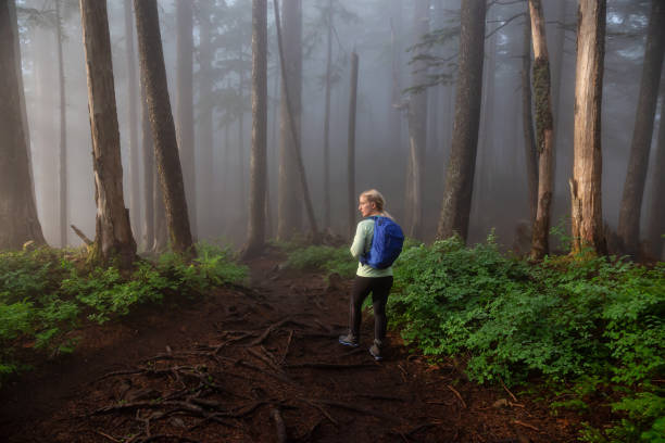 istock Girl hiking in Nature 1161426032