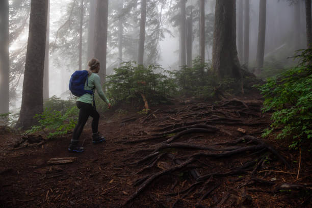 istock Girl hiking in Nature 1161426033