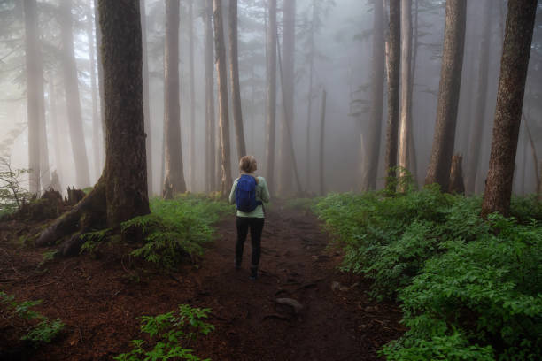 istock Girl hiking in Nature 1161426034