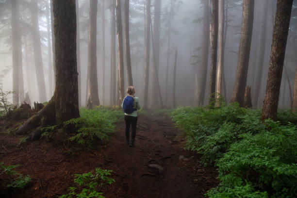 istock Girl hiking in Nature 1161426050