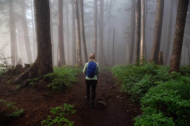 istock Girl hiking in Nature 1161426072