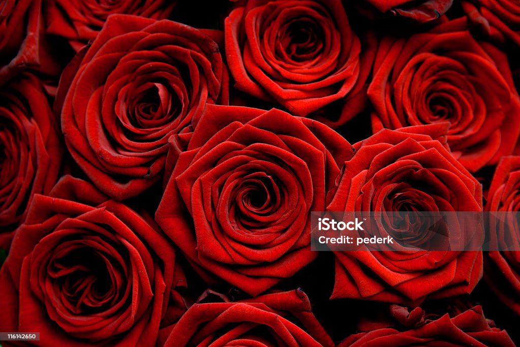 Rojo love - Foto de stock de Rojo libre de derechos
