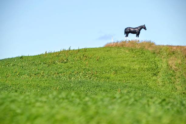istock Joey's Horse in Summer 1161426554
