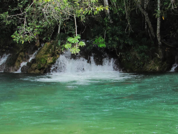istock emerald waters of Formoso river, with waterfall in the background 1161428200