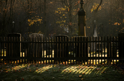 Graveyard Through Fence In Morning Sun