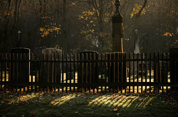 graveyard через забор в утром солнце - mystic connecticut nobody new england стоковые фото и изображения