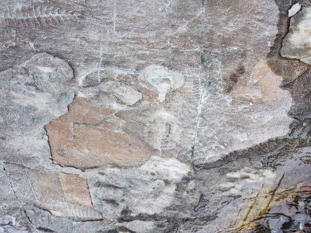 istock Mistaken Point Ecological Reserve and World Heritage Site 1161432208