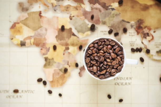 istock roasted coffee bean on vintage world map 1161433668