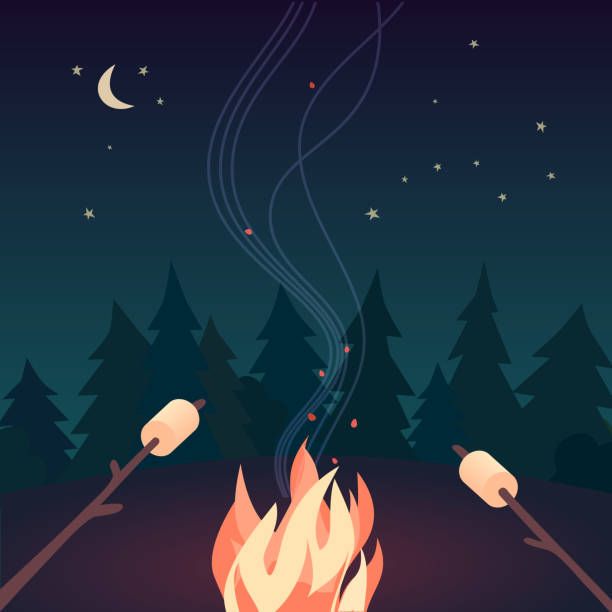 Marshmallow roasting hand drawn flat color vector Marshmallow roasting hand drawn flat color vector icon. Marshmallows on skewers in night camping fire cartoon design. Campsite bonfire summer party sign. Wood campfire poster background illustration camping illustrations stock illustrations