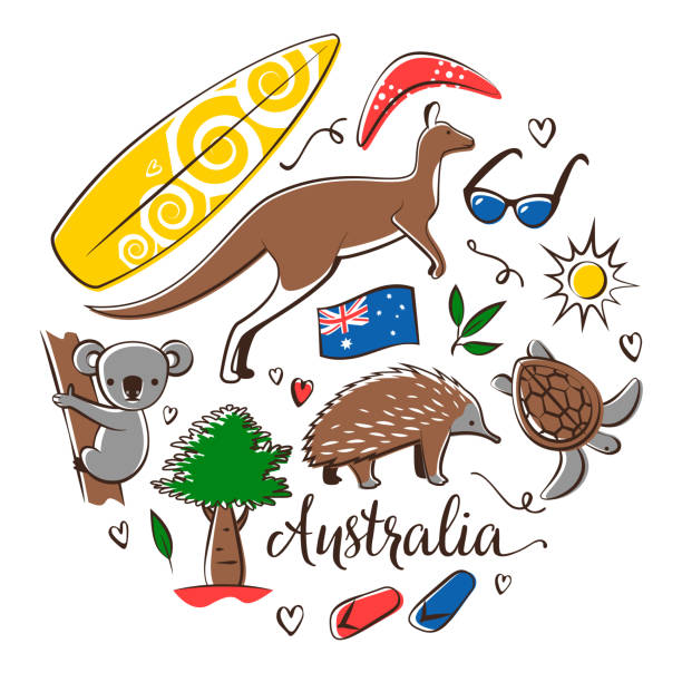Australia symbols Vector Australia symbols arranged in a square shape isolated on a white background. echidna isolated stock illustrations
