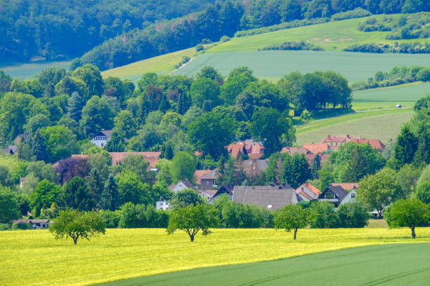 istock View on the agricultural fields with grain in Germany. 1161435284