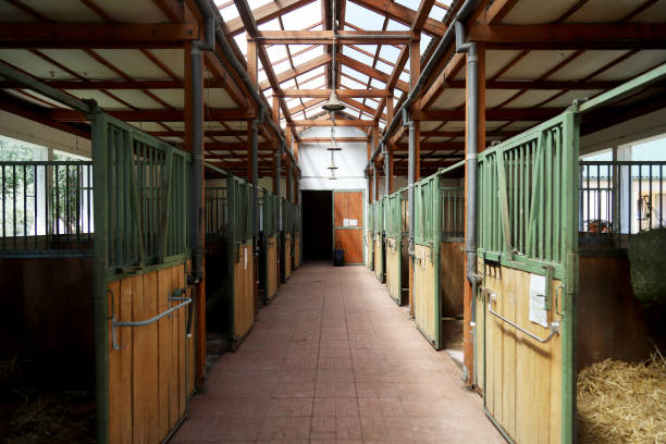 istock Horizontal picture of empty clear horse stable without horses 1161435352