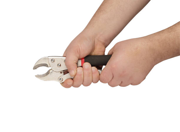 istock key frog in a hand on a white background 1161436063