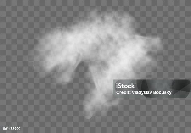 現実的な透明な特殊効果は霧や煙で際立っています白い雲のベクトル霧またはスモッグeps 10 - 煙のベクターアート素材や画像を多数ご用意 - 煙, 蒸気, 白背景