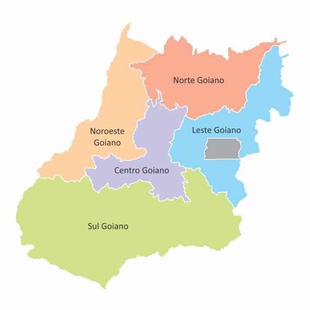 stockillustraties, clipart, cartoons en iconen met goias staat regio's - goiás