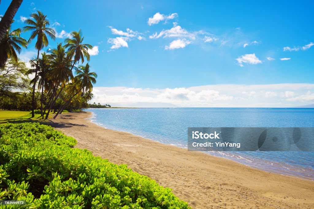 Confiar pala mostaza One Alii Park Beach Of The Island Of Molokai In Hawaii Stock Photo -  Download Image Now - iStock