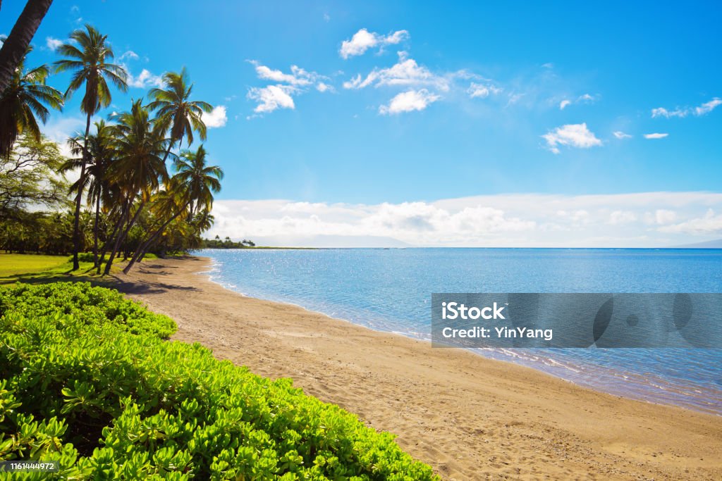 Confiar pala mostaza One Alii Park Beach Of The Island Of Molokai In Hawaii Stock Photo - Download Image Now - iStock Confiar pala mostaza One Alii Park Beach Of The Island Of Molokai In Hawaii Stock Photo - Download Image Now - iStock