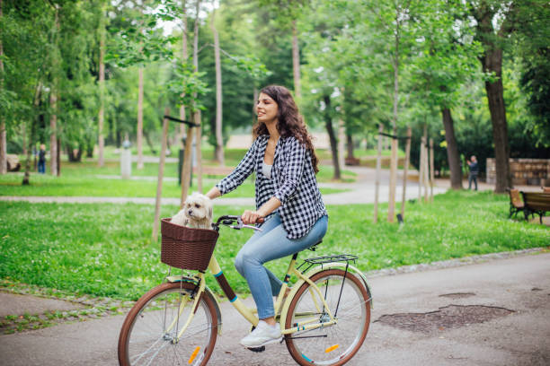 istock Girl riding dog in bicycle basket 1161447209