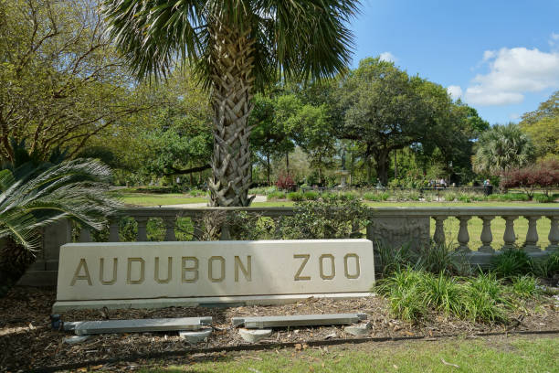 뉴올리언스 오듀본 공원의 오듀본 동물원 입구 - audubon park zoo 뉴스 사진 이미지