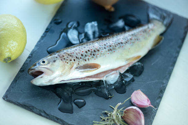 truite fraîche crue sur la table en bois dans des morceaux de glace. - catch of fish photos photos et images de collection