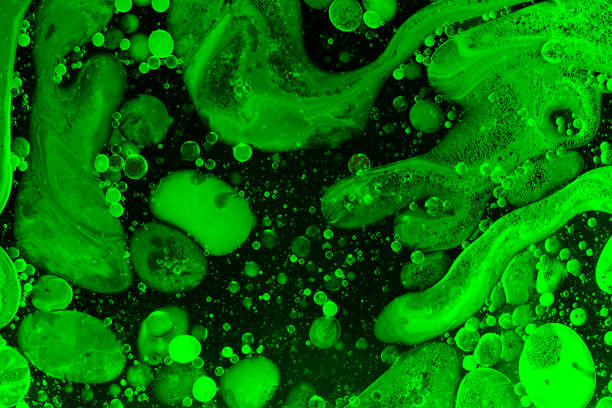 istock Green liquid water abstract background. Macro photography 1161451156