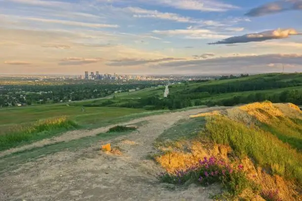 Photo of Calgary Downtown and Scenic Sunset Sky from Nose Hill Urban Park