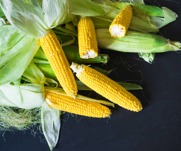 istock Fresh Yellow Maize. Raw Organic Sweet Corn Cobs on black granite table 1161453438