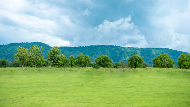 istock Green backyard with mountain and blue sky 1161453843