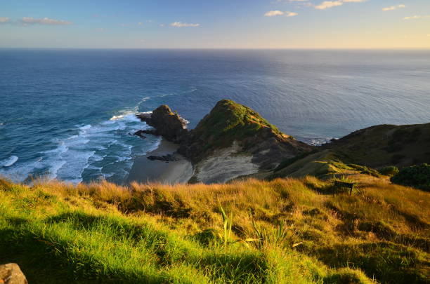 istock Cape Reinga, New Zealand 1161460863