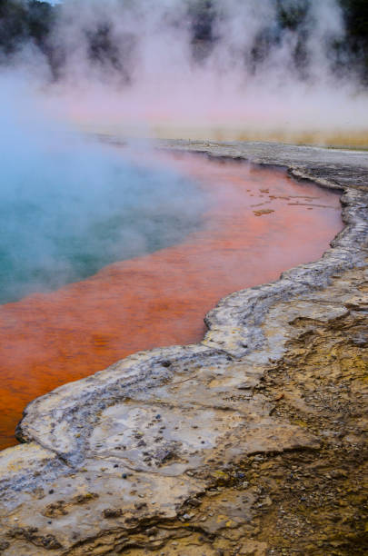 шампанское бассейн в роторуа - new zealand geyser champagne park стоковые фото и изображения