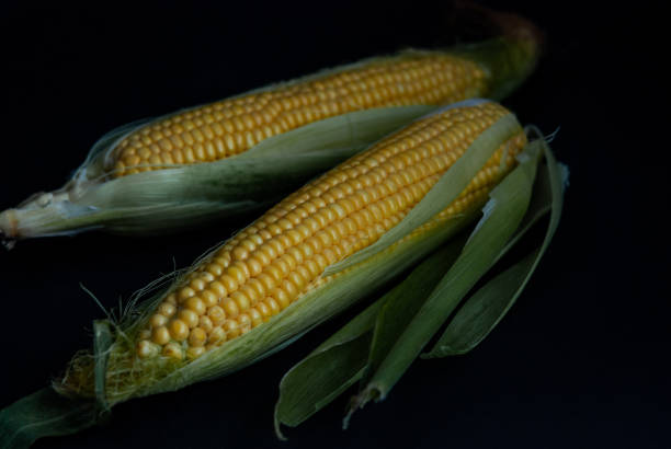 istock Yellow sweet raw corn on a black background close-up 1161464015