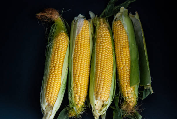 istock Yellow sweet raw corn on a black background 1161464028