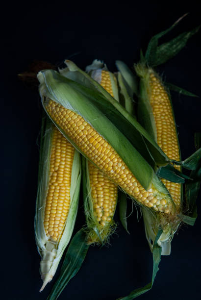 istock Yellow sweet raw corn on a black background 1161464030