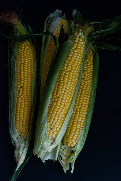 istock Yellow sweet raw corn on a black background 1161464034