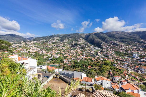 istock Views from Pico dos Barcelos in Funchal (Madeira, Portugal) 1161464906