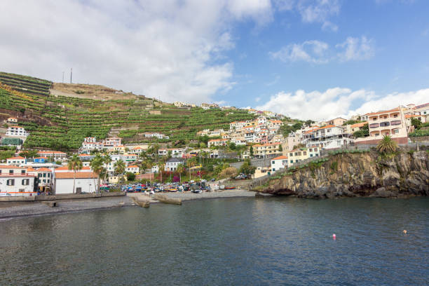 istock Camara de Lobos in Madeira (Portugal) 1161467160