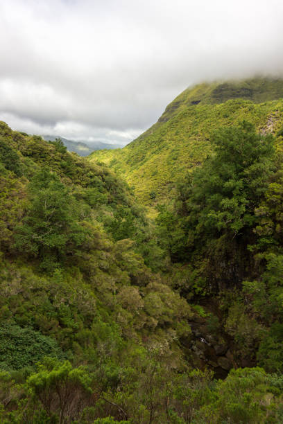 istock Trekking of 25 fontes and Risco Waterfall in Madeira (Portugal) 1161470504