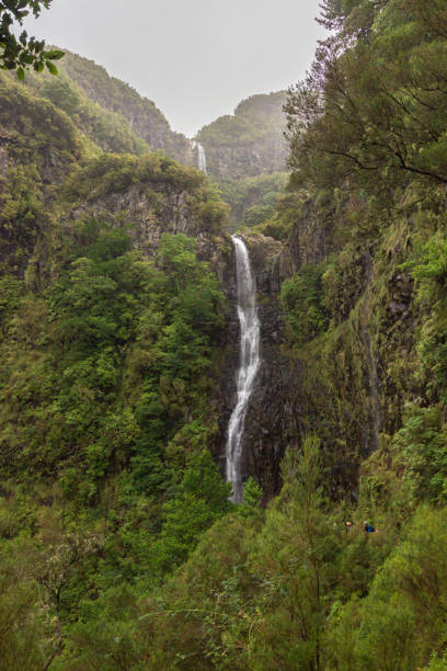 istock Trekking of 25 fontes and Risco Waterfall in Madeira (Portugal) 1161471139
