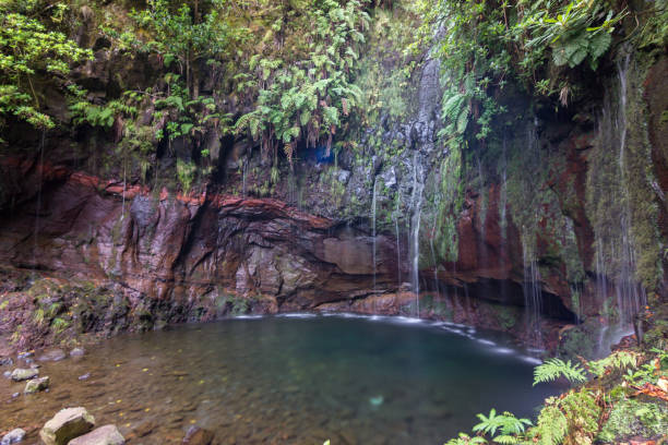istock Trekking of 25 fontes and Risco Waterfall in Madeira (Portugal) 1161471299