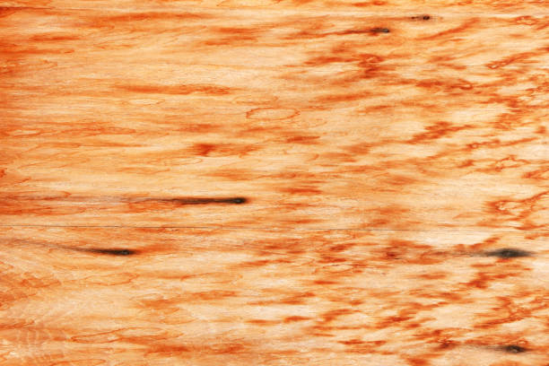 istock Old Wood Texture for nature Background. 1161473810