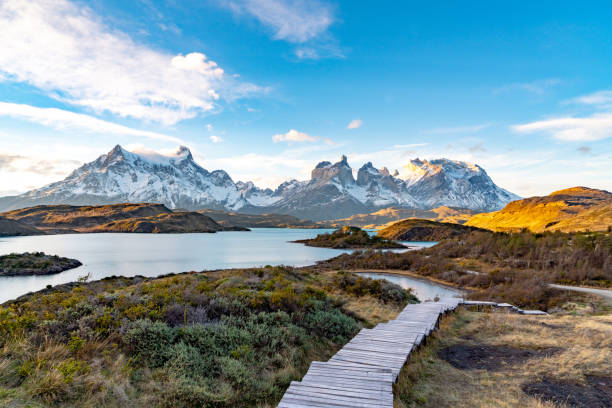 torres del paine national park,chile. (parque nacional torres del paine) - mountain footpath hiking backpacker fotografías e imágenes de stock